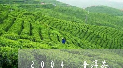 2004 普洱茶/2023041233826